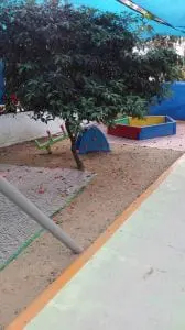 פעוטון פשוש