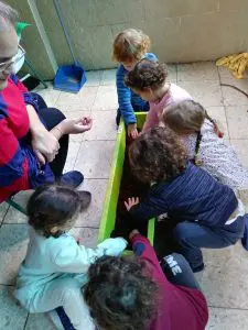 Read more about the article משפחתון קטנטנים