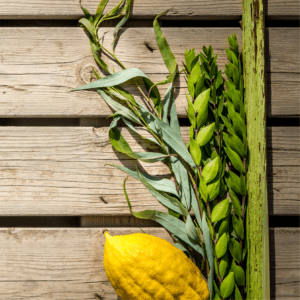 מערך בנושא חג סוכות | גישת האמת בחינוך של חמוטל לחמן איחוד הגנים