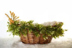 מערך פעילויות לשבועות | גישת האמת בחינוך של חמוטל לחמן איחוד הגנים