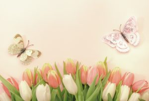 spring-easter-composition-with-pink-tulips-flowers-and-butterflies-on-pastel-background-